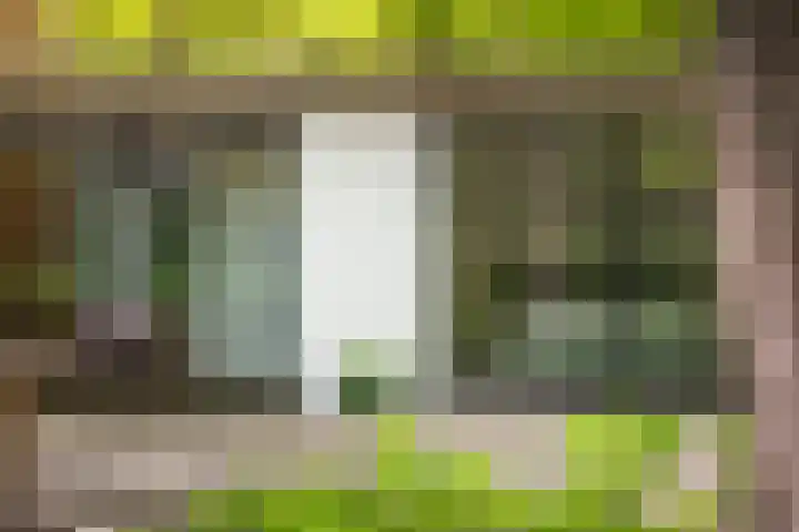 Bosweg 6 Epse thumbnail 64