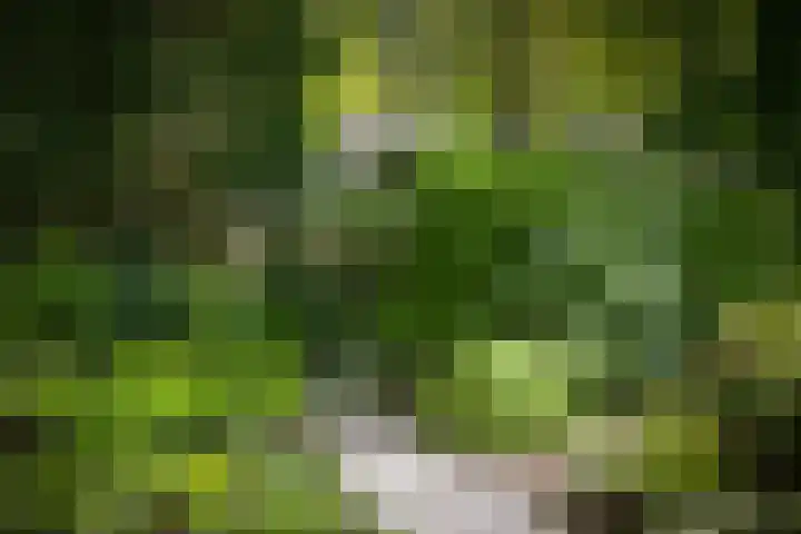 Bosweg 6 Epse thumbnail 65