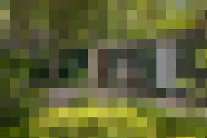Bosweg 6 Epse thumbnail 66