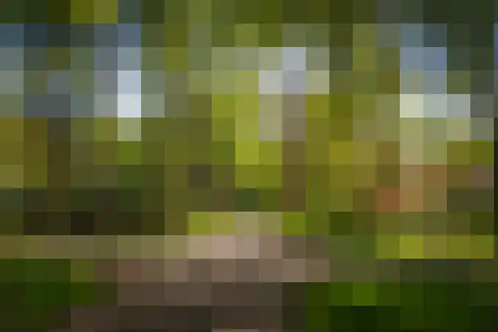 Bosweg 6 Epse thumbnail 67