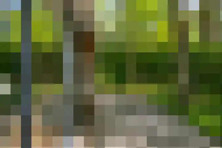 Bosweg 6 Epse thumbnail 69