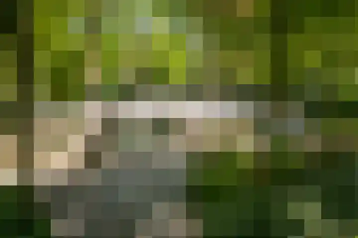 Bosweg 6 Epse thumbnail 70
