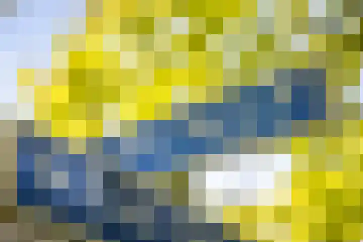Bosweg 6 Epse thumbnail 72