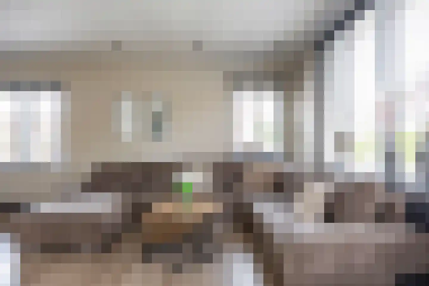 Bosweg 6 Scheemda thumbnail 10