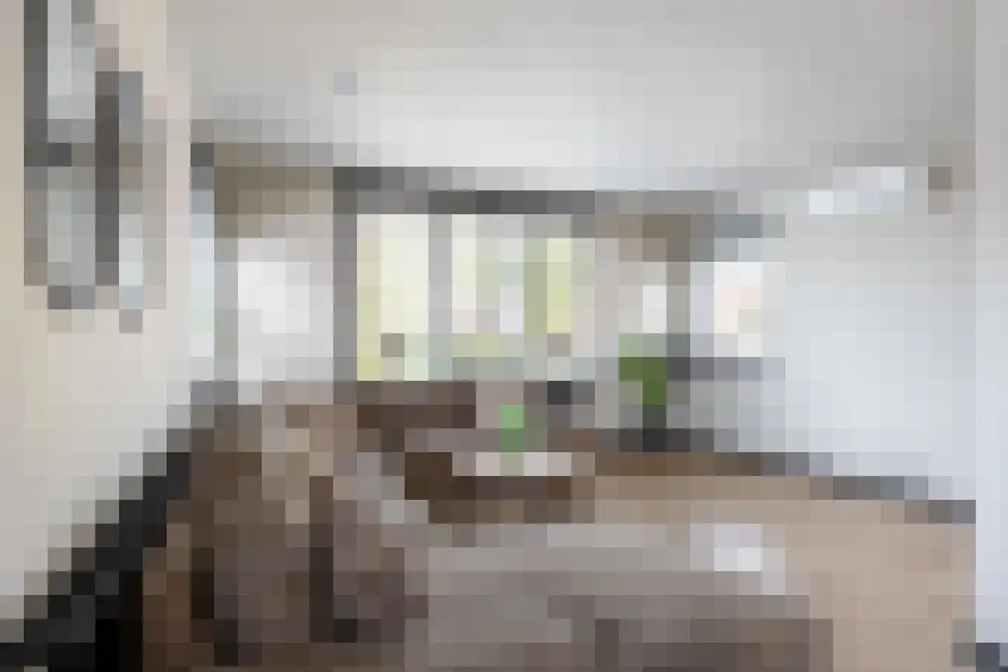 Bosweg 6 Scheemda thumbnail 15