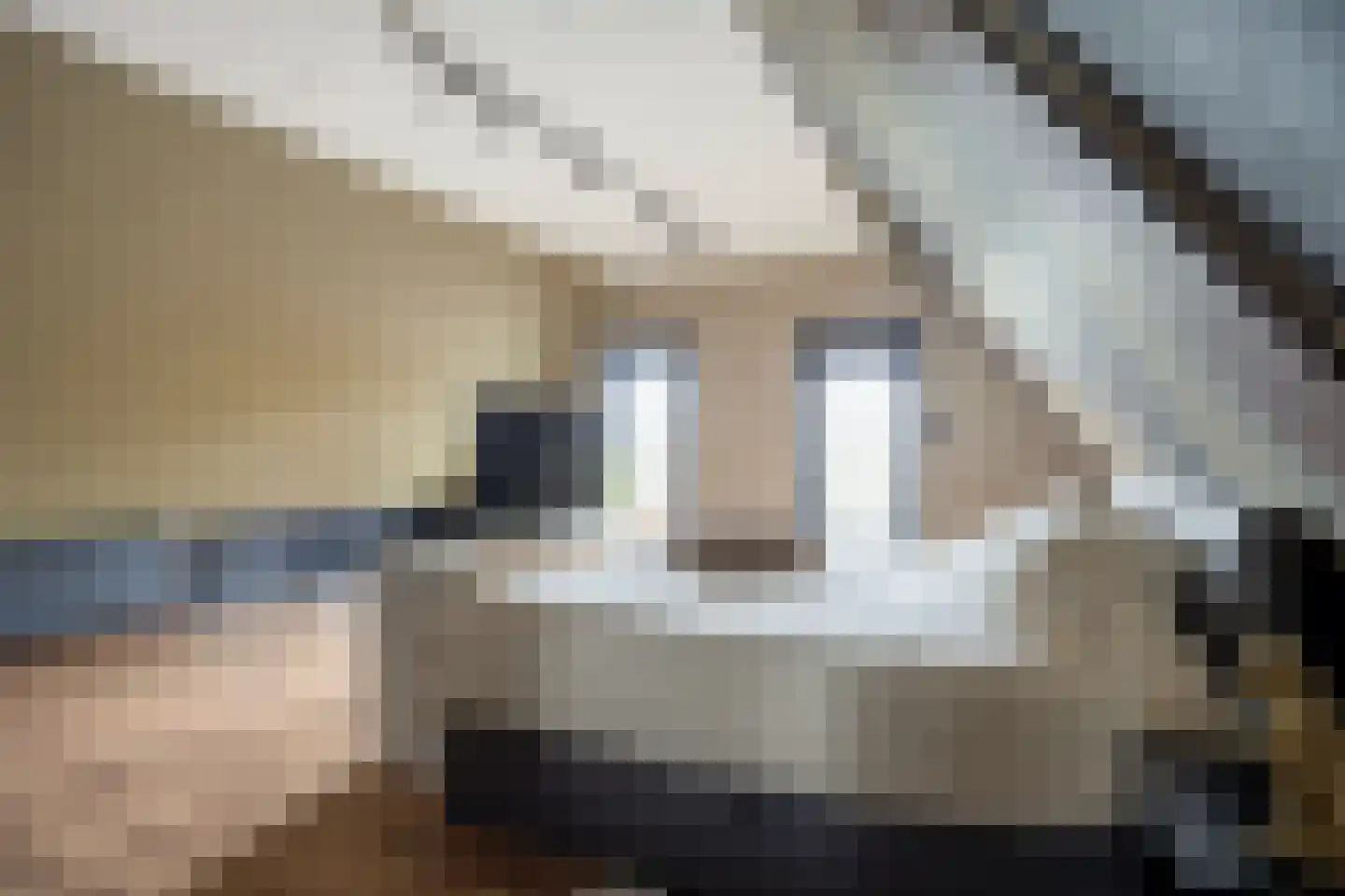 Bosweg 6 Scheemda thumbnail 37