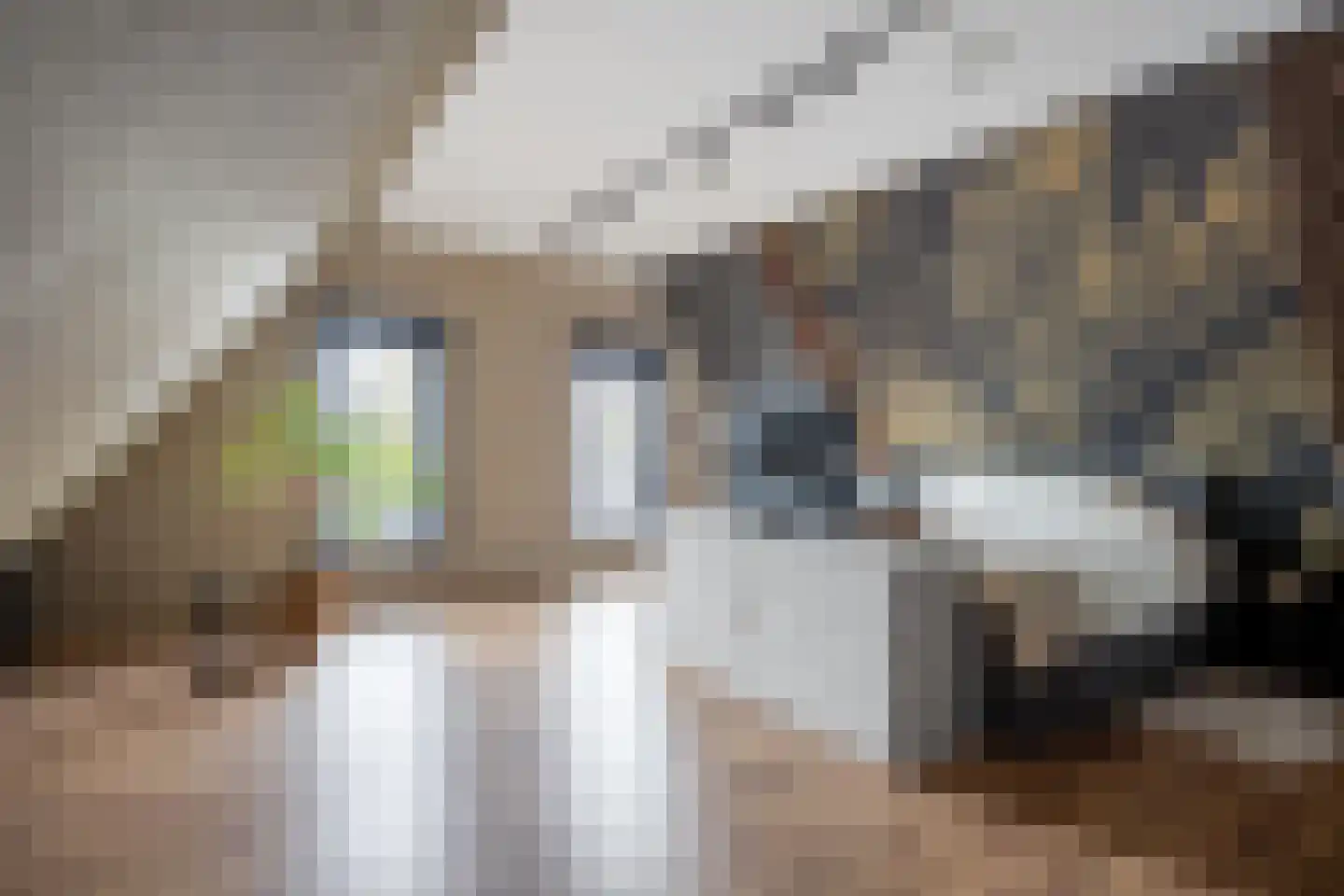 Bosweg 6 Scheemda thumbnail 38