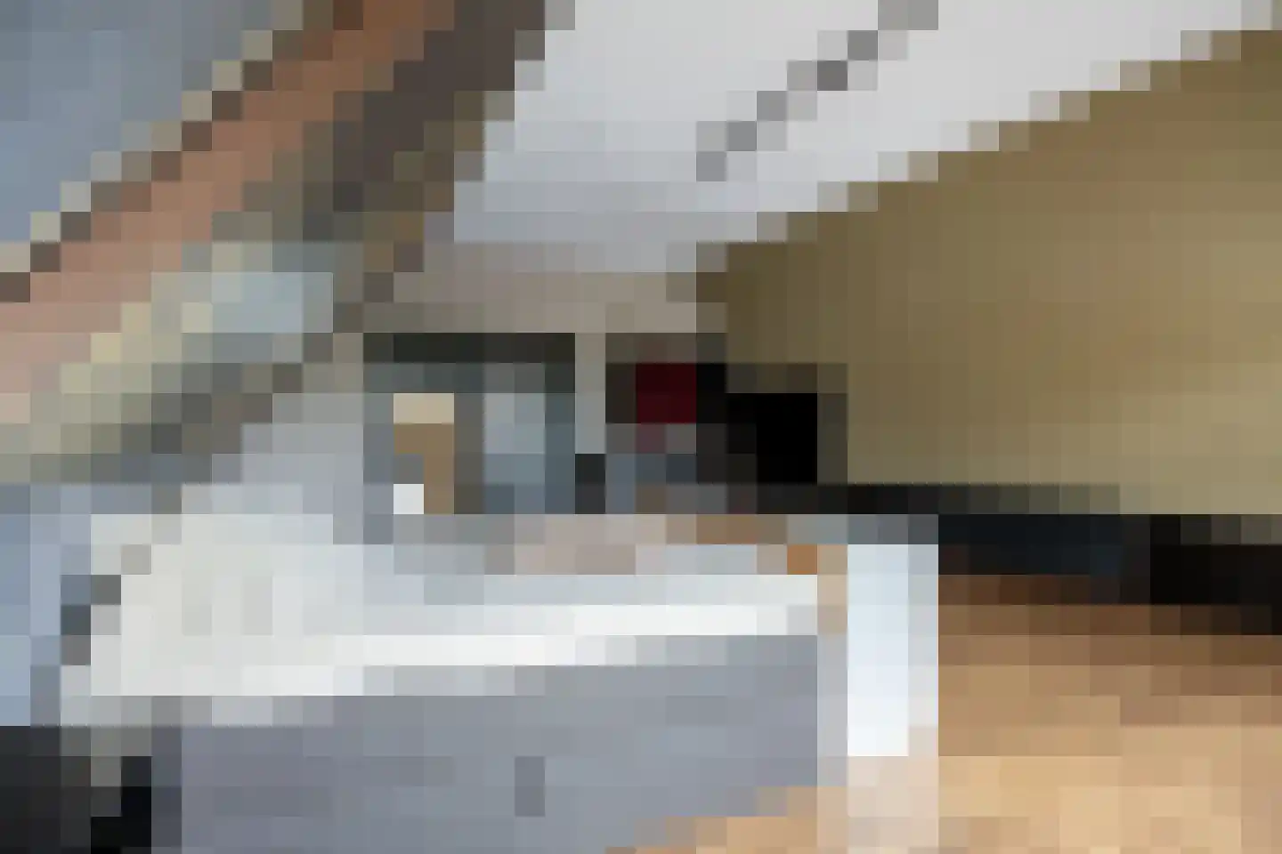 Bosweg 6 Scheemda thumbnail 39