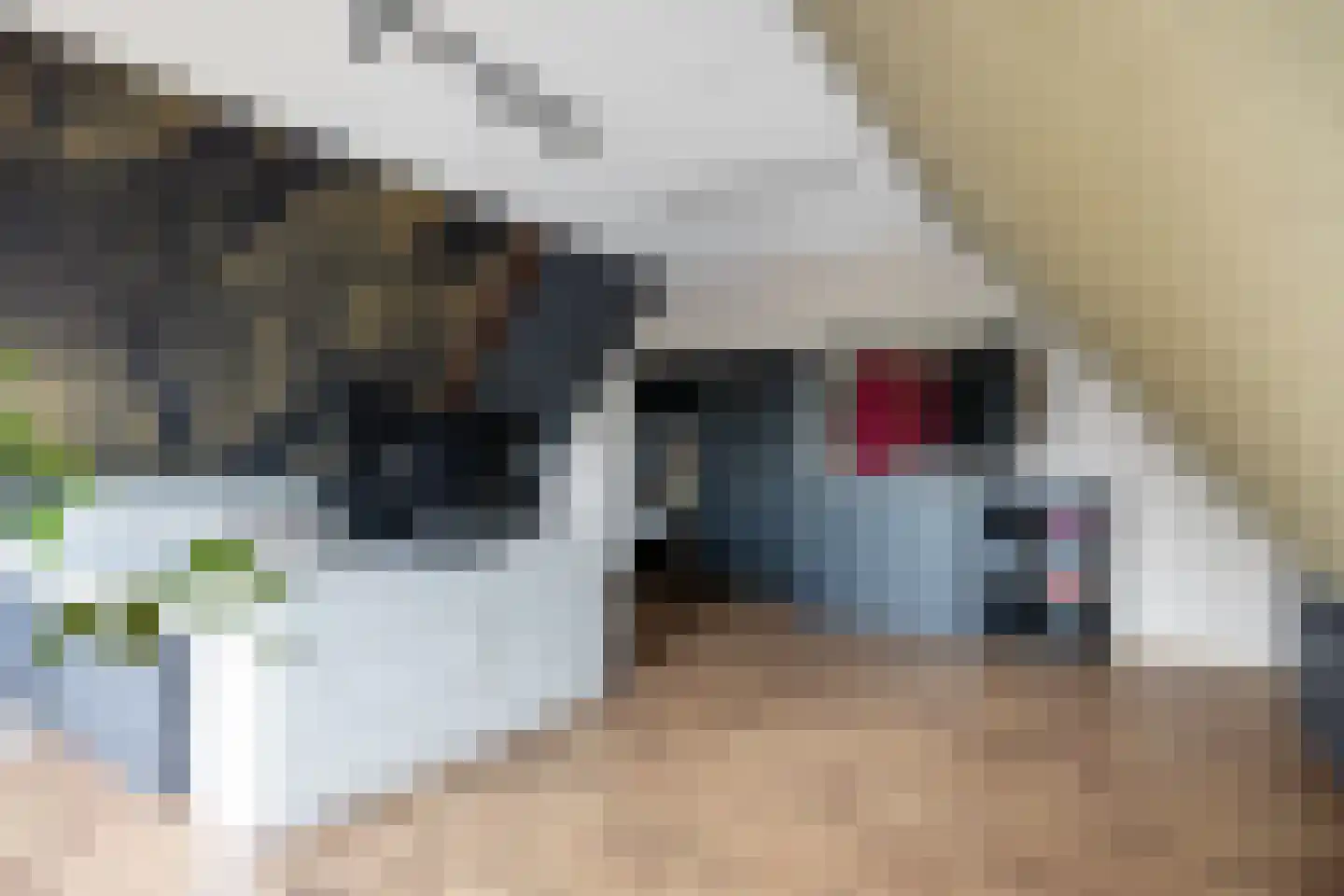 Bosweg 6 Scheemda thumbnail 40
