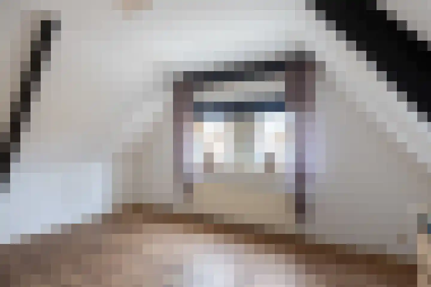 Bosweg 6 Scheemda thumbnail 41