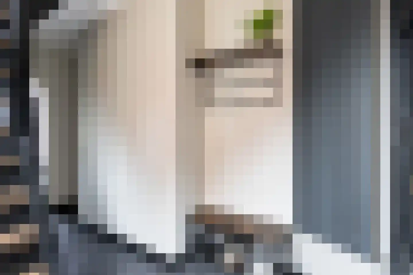 Bosweg 6 Scheemda thumbnail 6