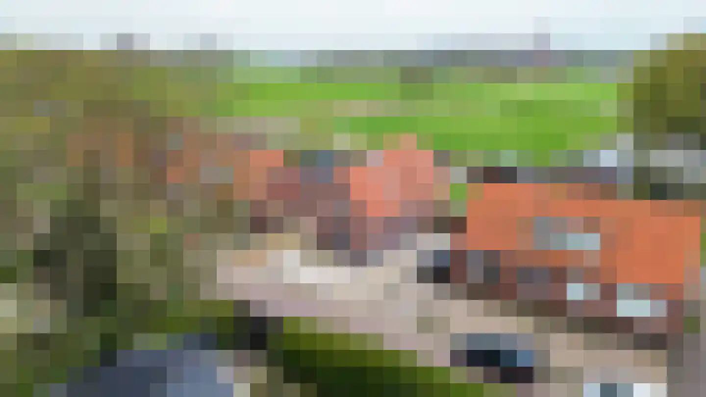 Bosweg 6 Scheemda thumbnail 62