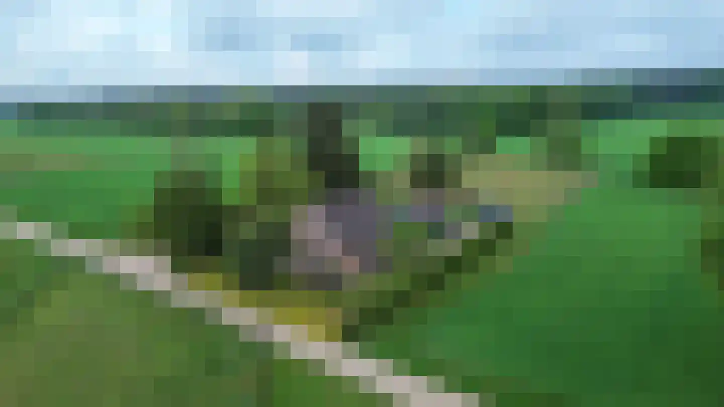 Bosweg 6 Zeddam