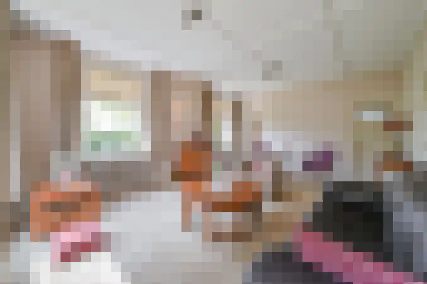 Bosweg 6 Zeddam thumbnail 12