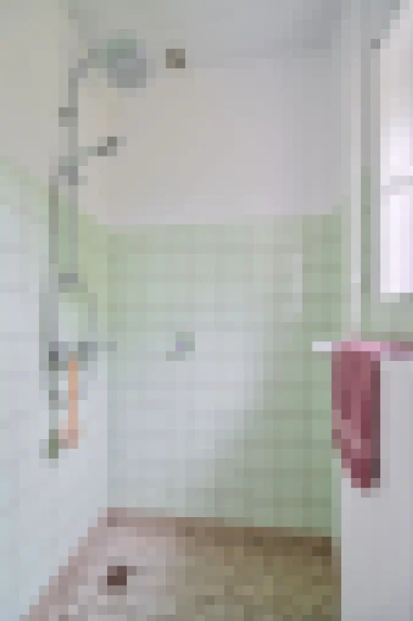 Bosweg 6 Zeddam thumbnail 24