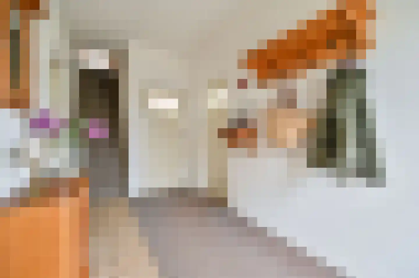 Bosweg 6 Zeddam thumbnail 27