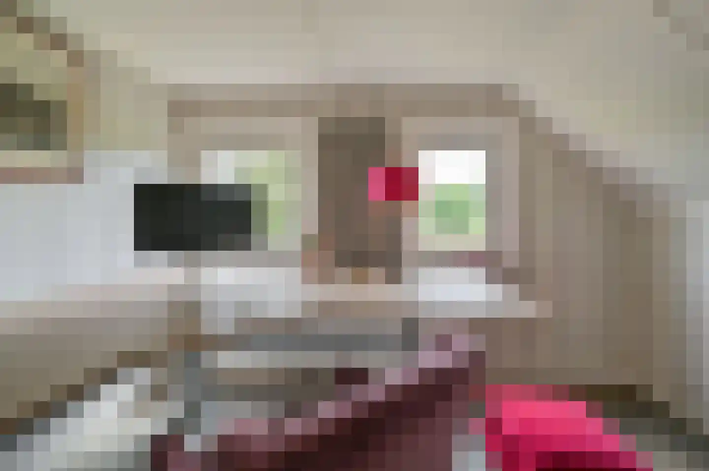 Bosweg 6 Zeddam thumbnail 32