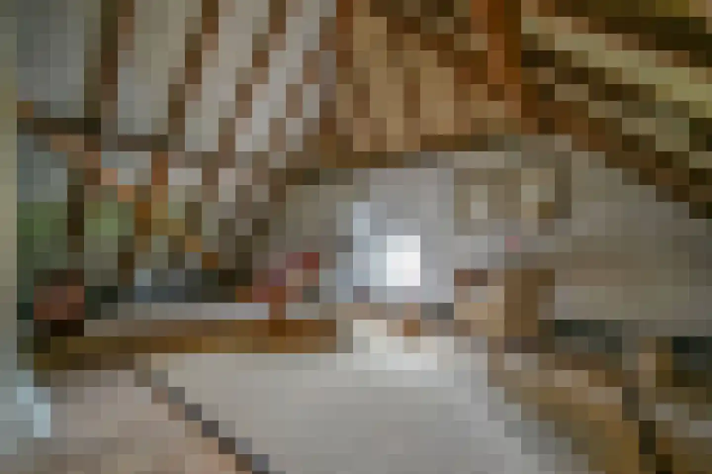 Bosweg 6 Zeddam thumbnail 34