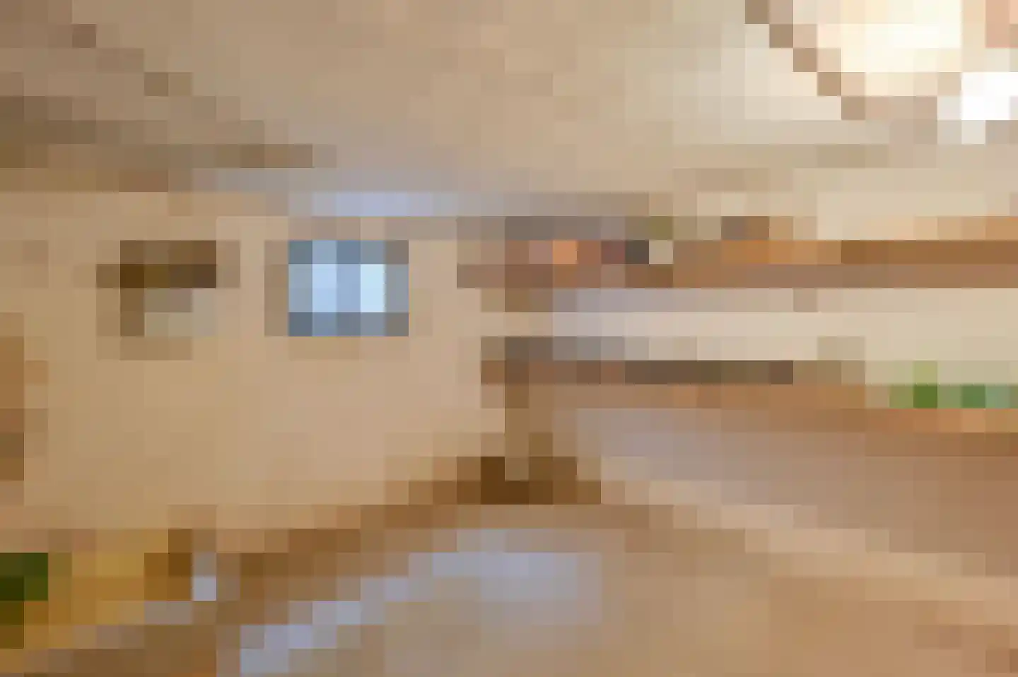 Bosweg 6 Zeddam thumbnail 36