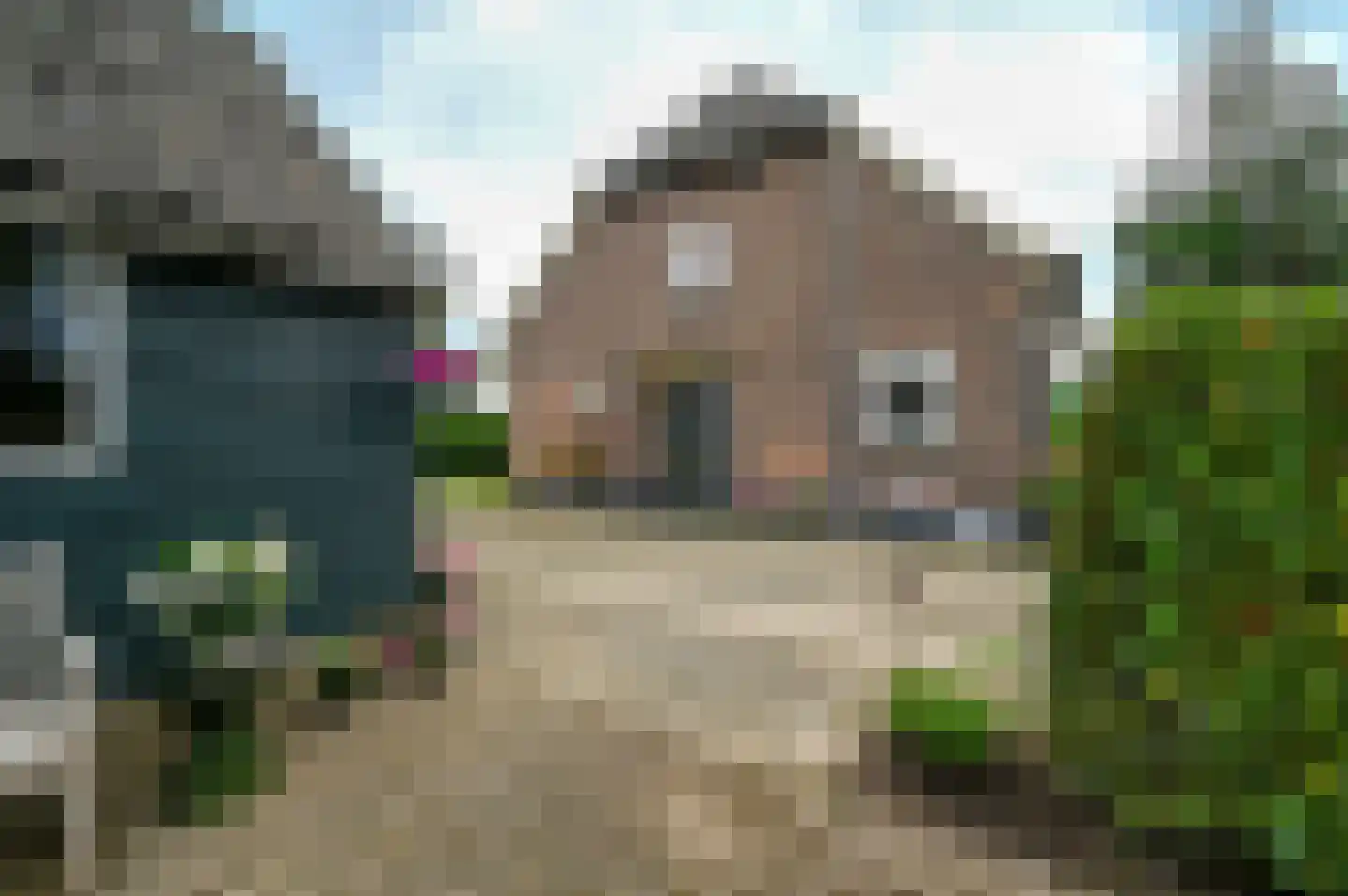 Bosweg 6 Zeddam thumbnail 38