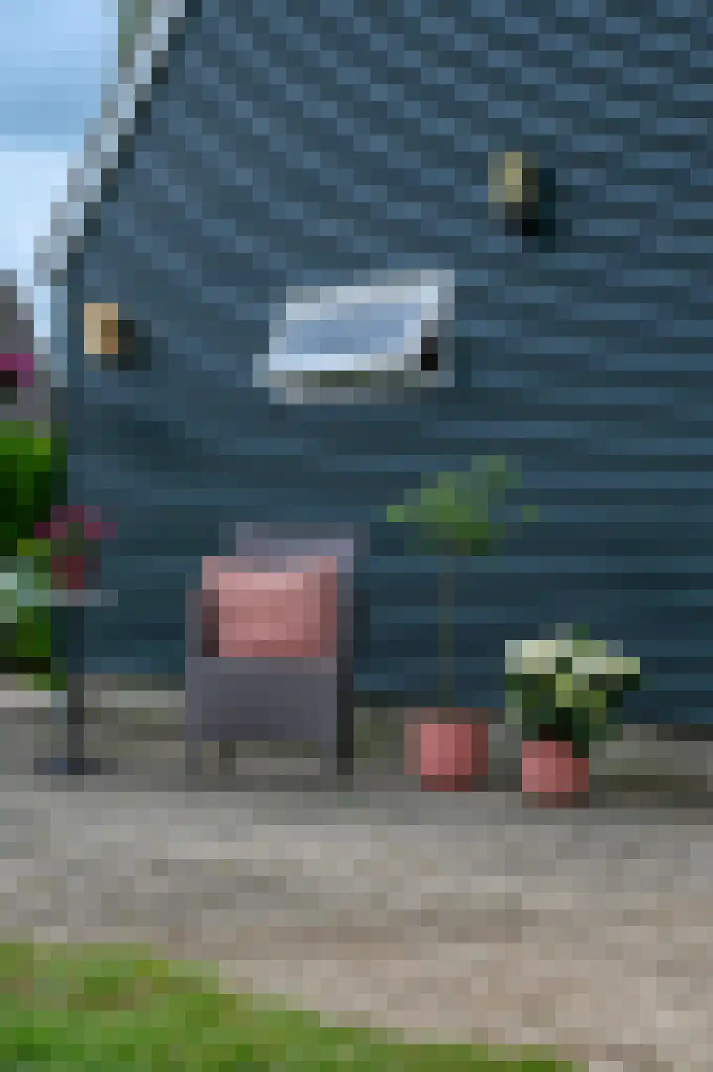Bosweg 6 Zeddam thumbnail 45