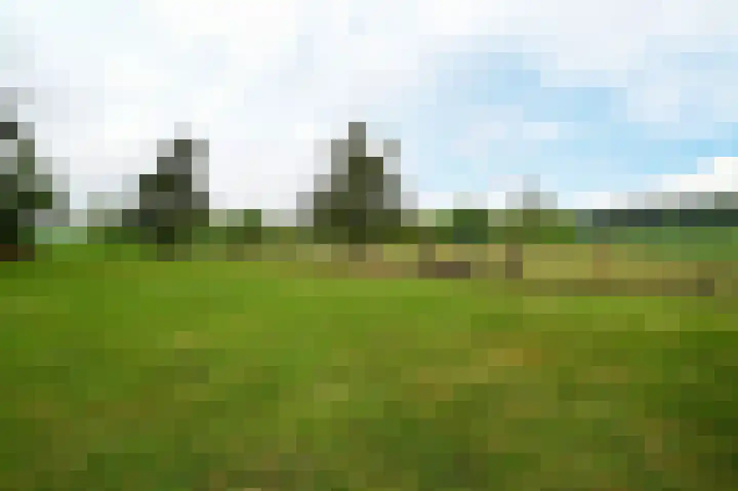 Bosweg 6 Zeddam thumbnail 47