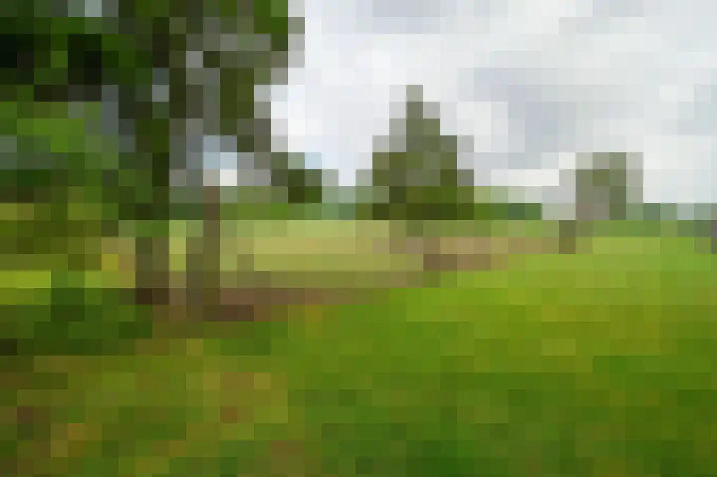 Bosweg 6 Zeddam thumbnail 48