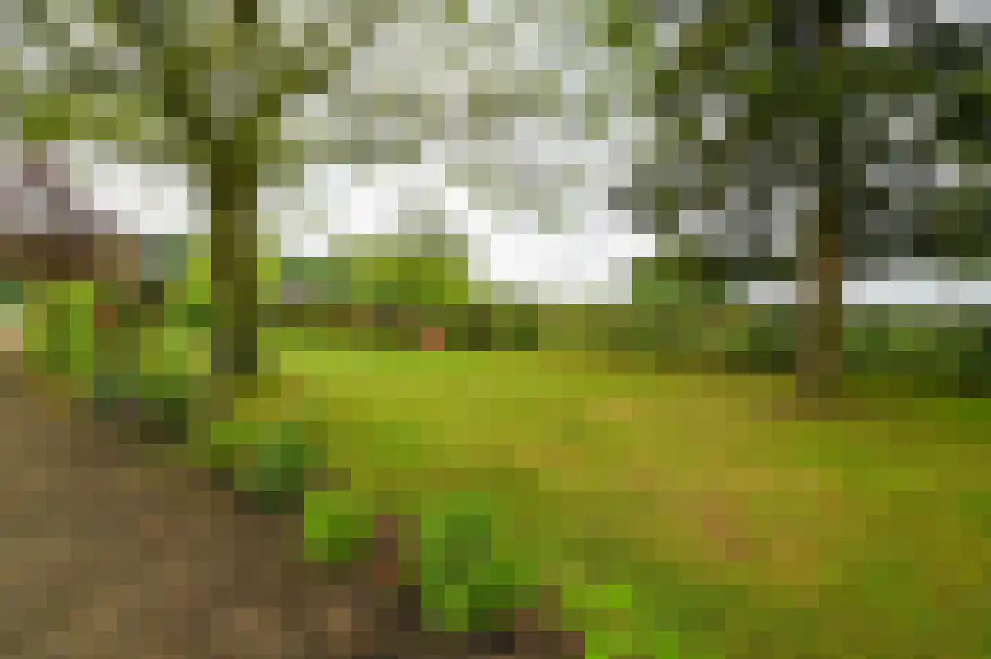 Bosweg 6 Zeddam thumbnail 49