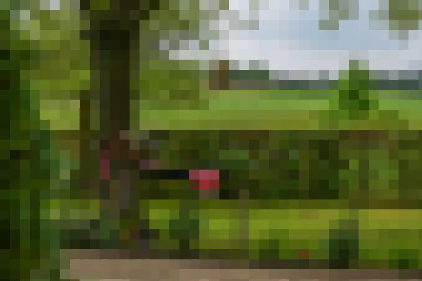 Bosweg 6 Zeddam thumbnail 50