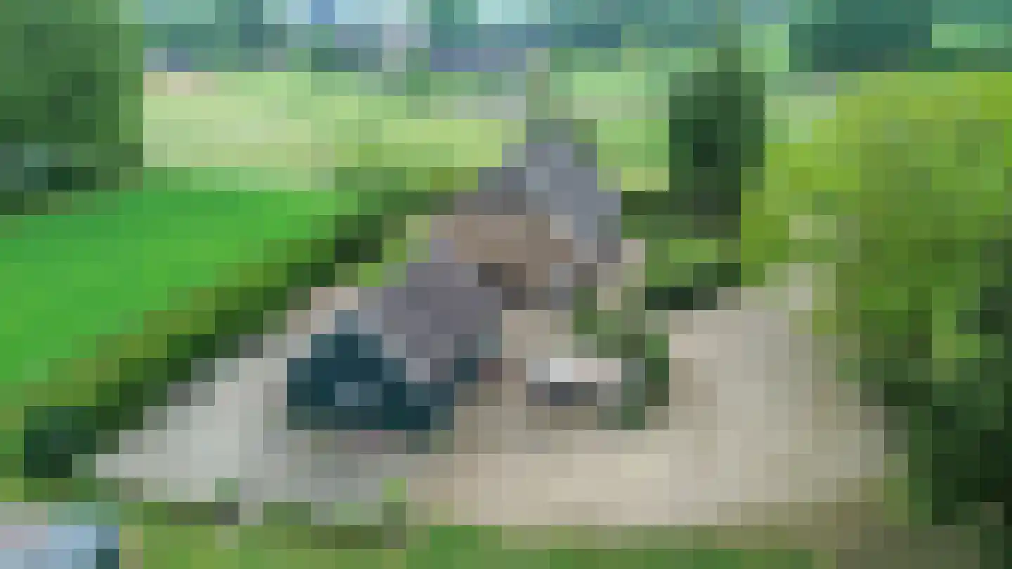 Bosweg 6 Zeddam thumbnail 55
