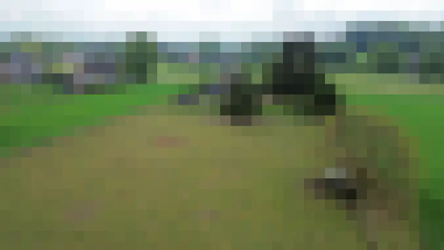 Bosweg 6 Zeddam thumbnail 56