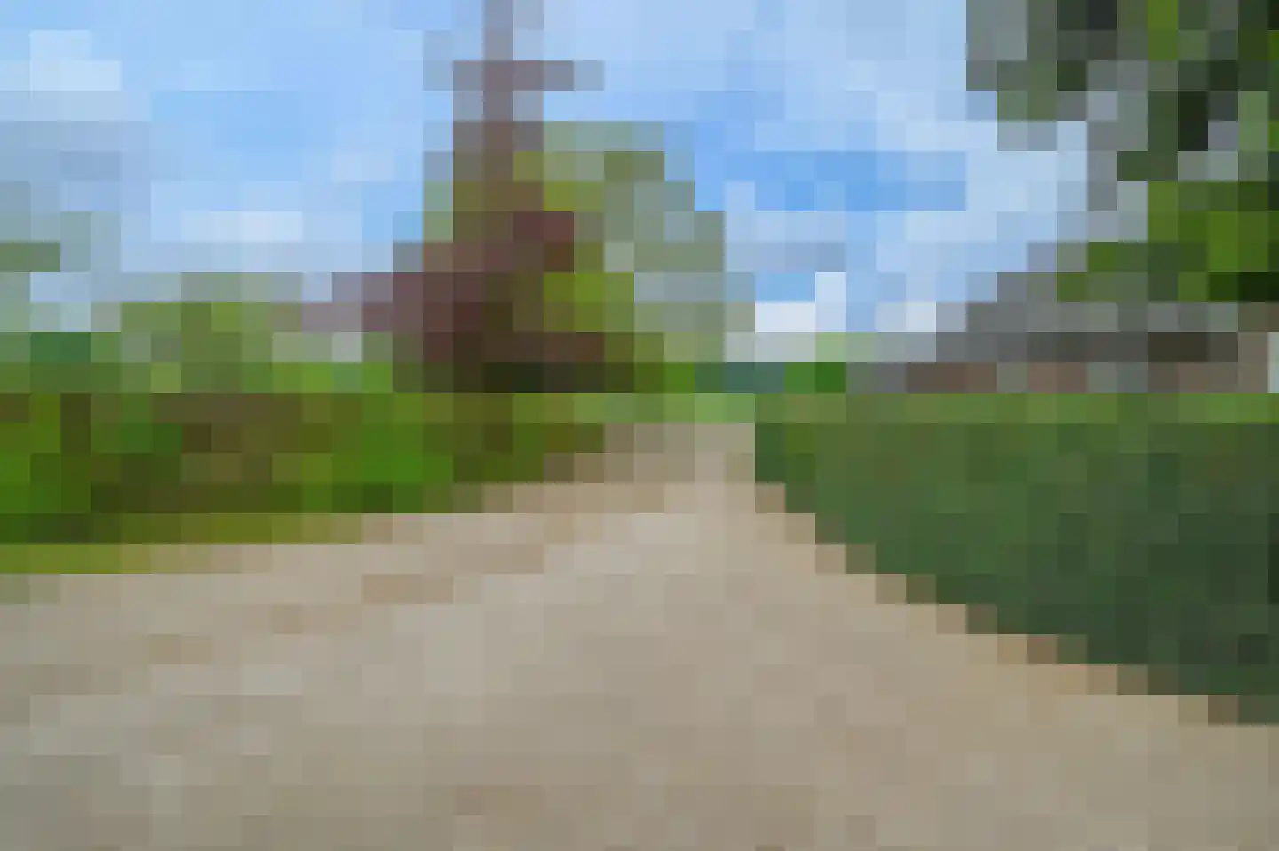 Bosweg 6 Zeddam thumbnail 59