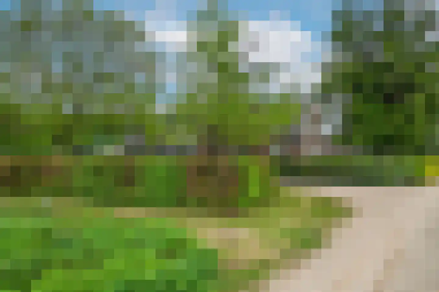 Bosweg 6 Zeddam thumbnail 61