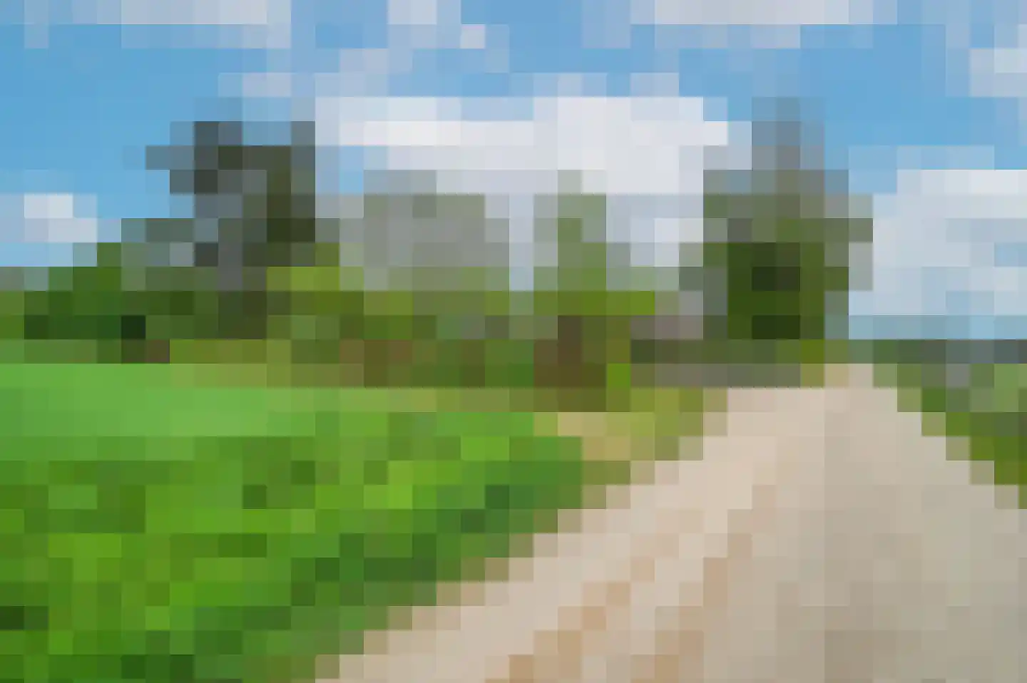 Bosweg 6 Zeddam thumbnail 62