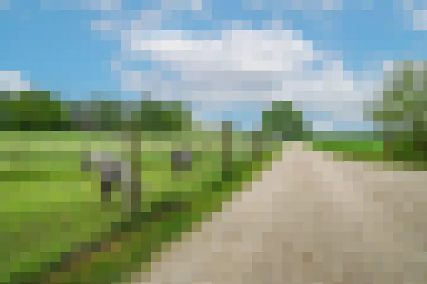 Bosweg 6 Zeddam thumbnail 64