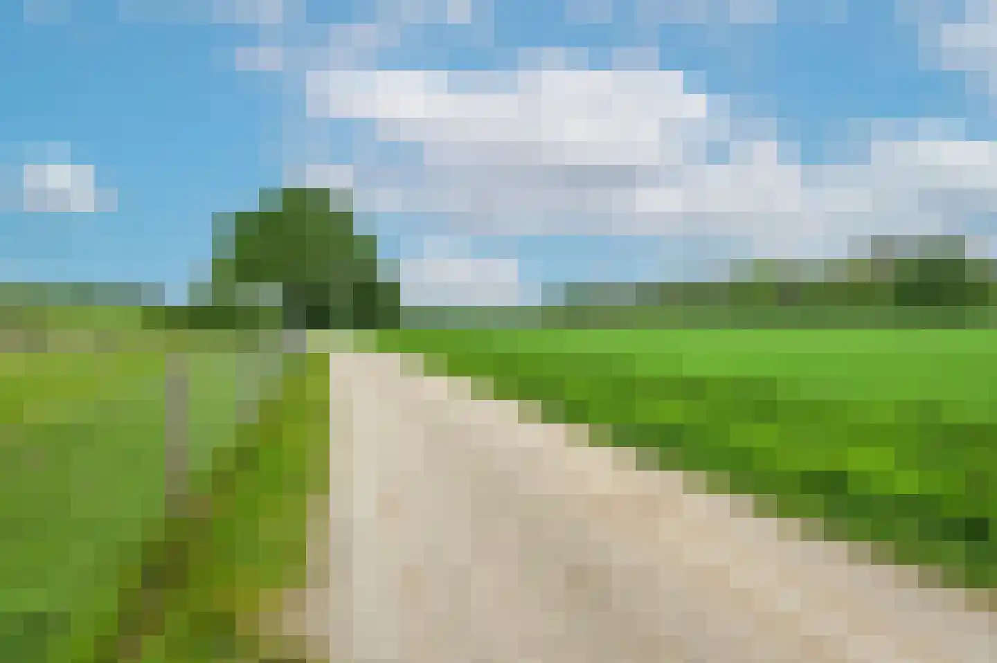Bosweg 6 Zeddam thumbnail 65
