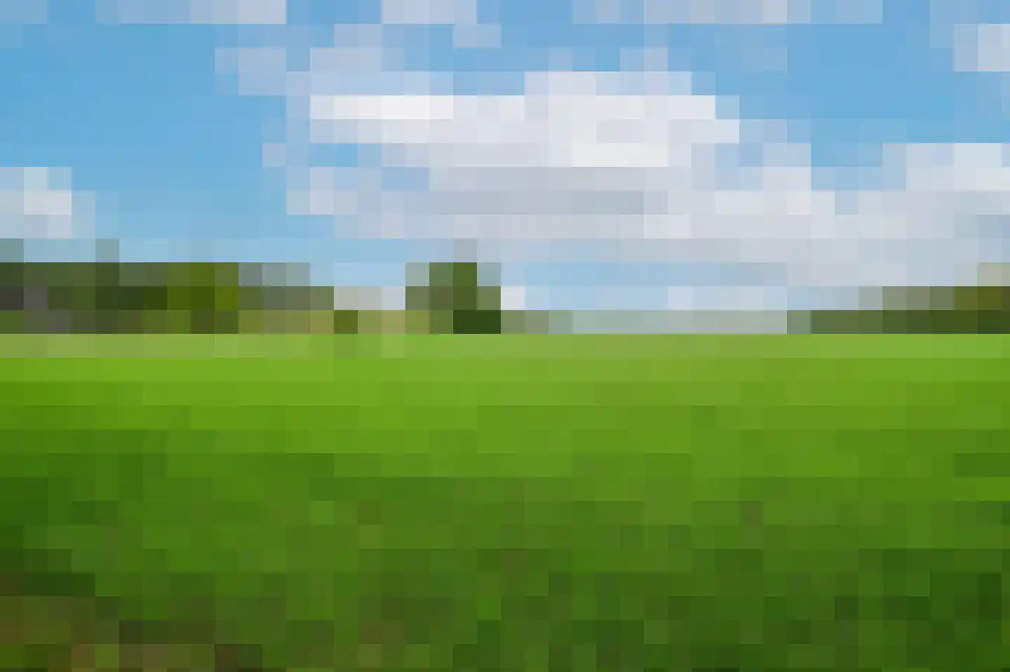 Bosweg 6 Zeddam thumbnail 66