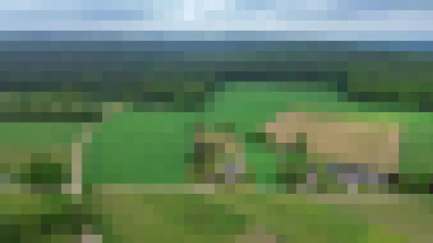 Bosweg 6 Zeddam thumbnail 72