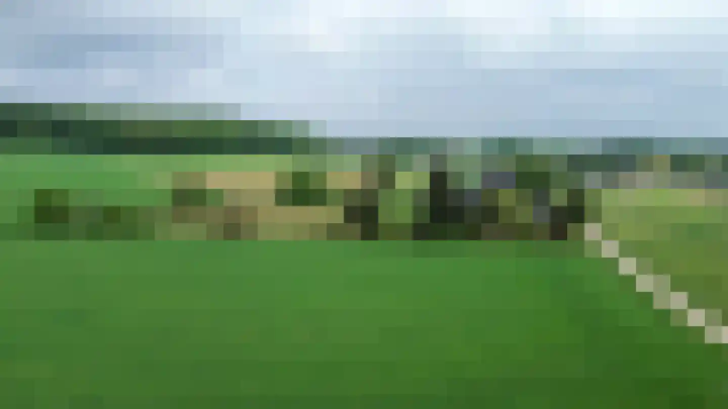 Bosweg 6 Zeddam thumbnail 73
