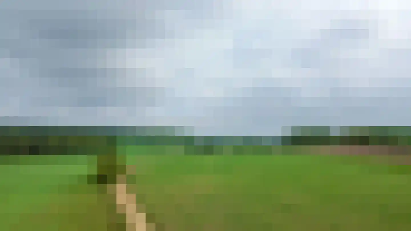 Bosweg 6 Zeddam thumbnail 74