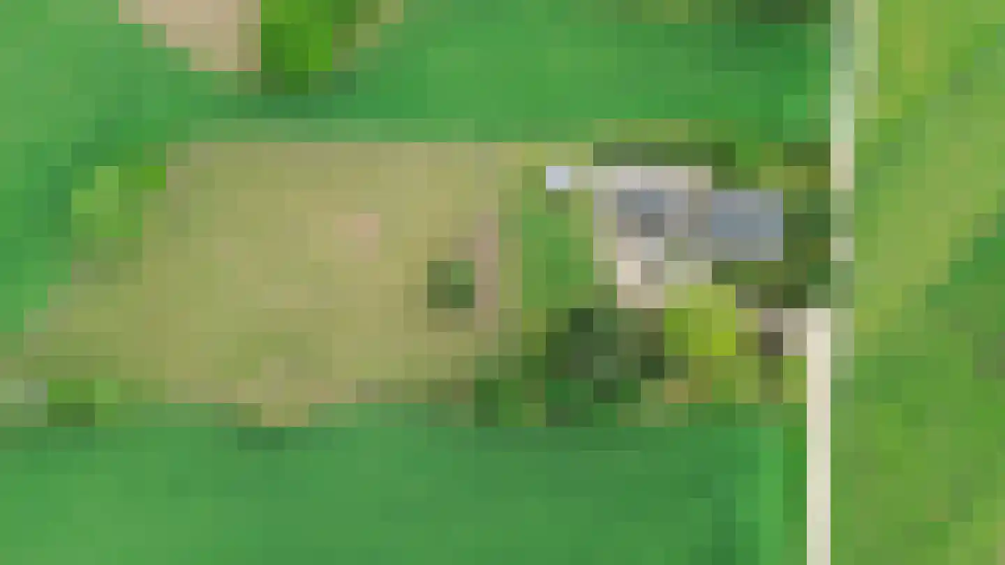Bosweg 6 Zeddam thumbnail 78