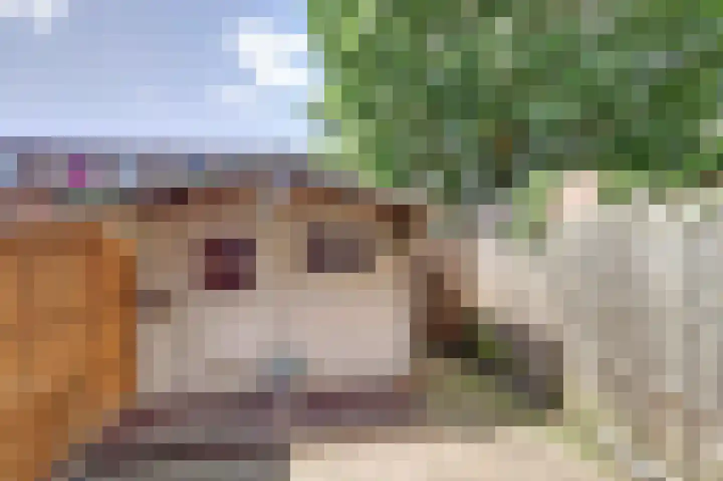Bosweg 61 Gouda thumbnail 22