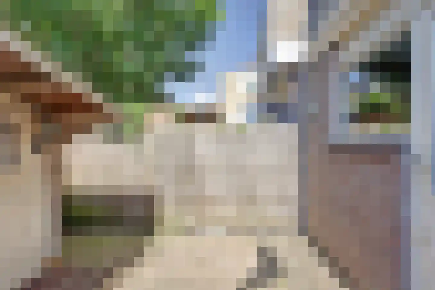 Bosweg 61 Gouda thumbnail 23