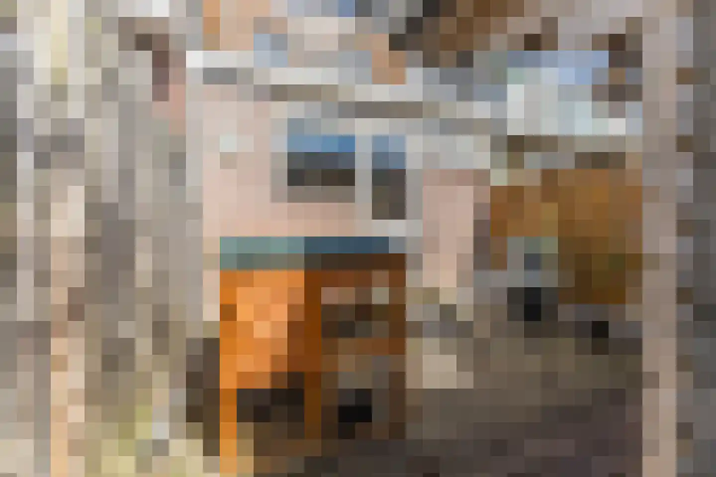 Bosweg 61 Gouda thumbnail 30