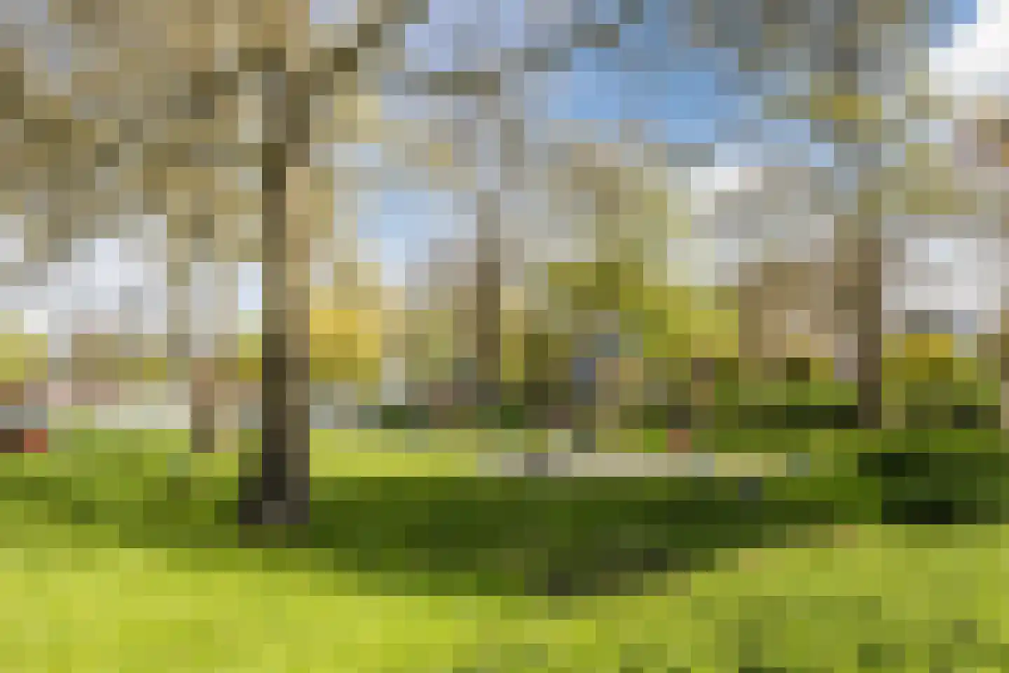 Bosweg 61 Gouda thumbnail 33