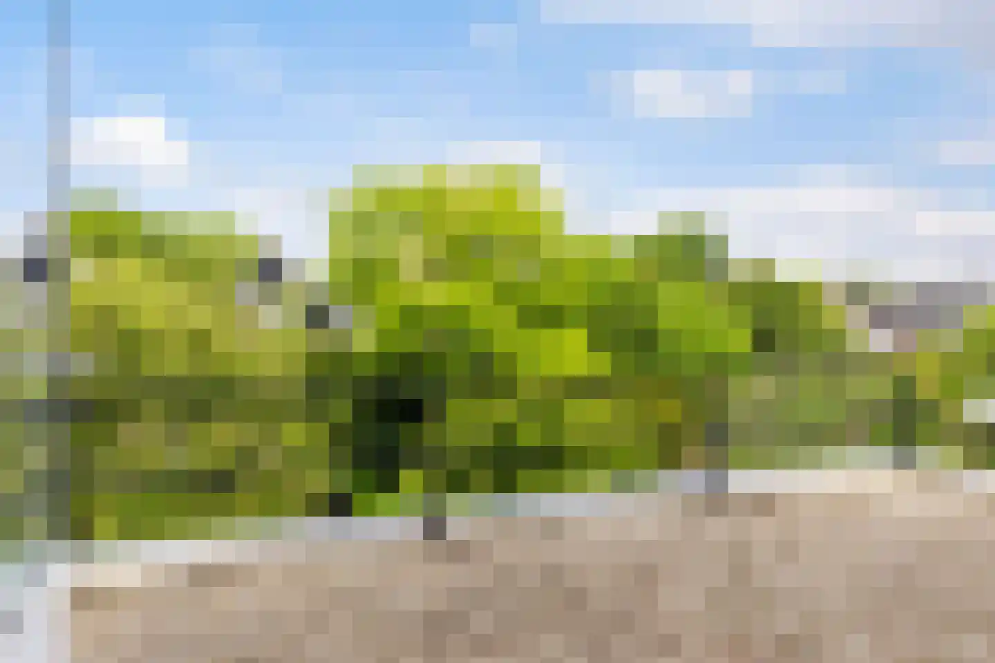 Bosweg 66 Apeldoorn thumbnail 21