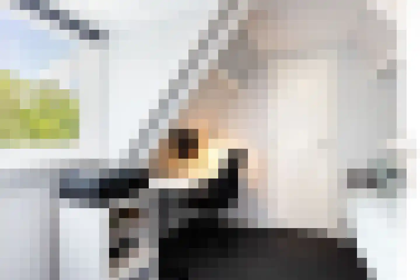 Bosweg 66 Apeldoorn thumbnail 27
