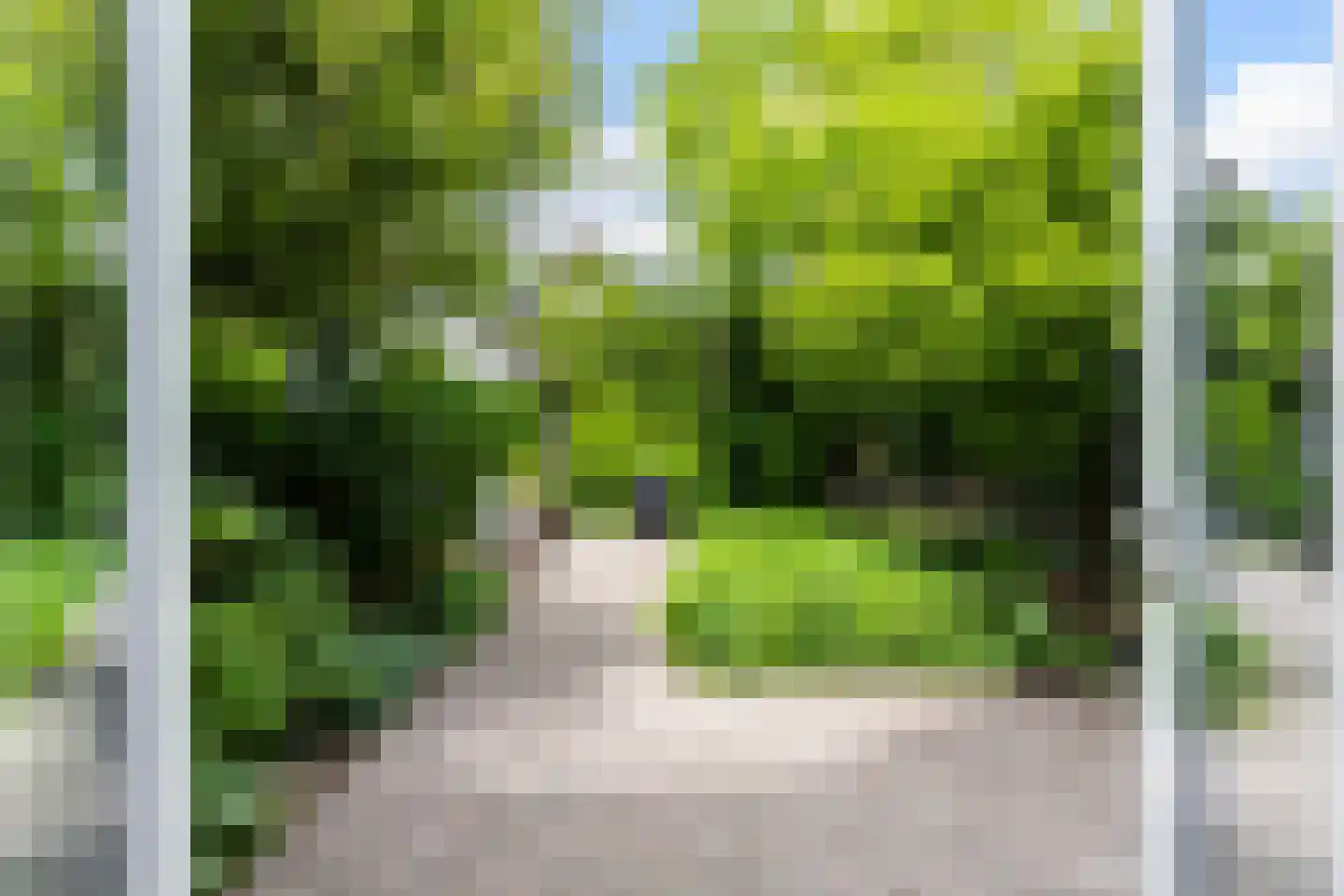 Bosweg 66 Apeldoorn thumbnail 29