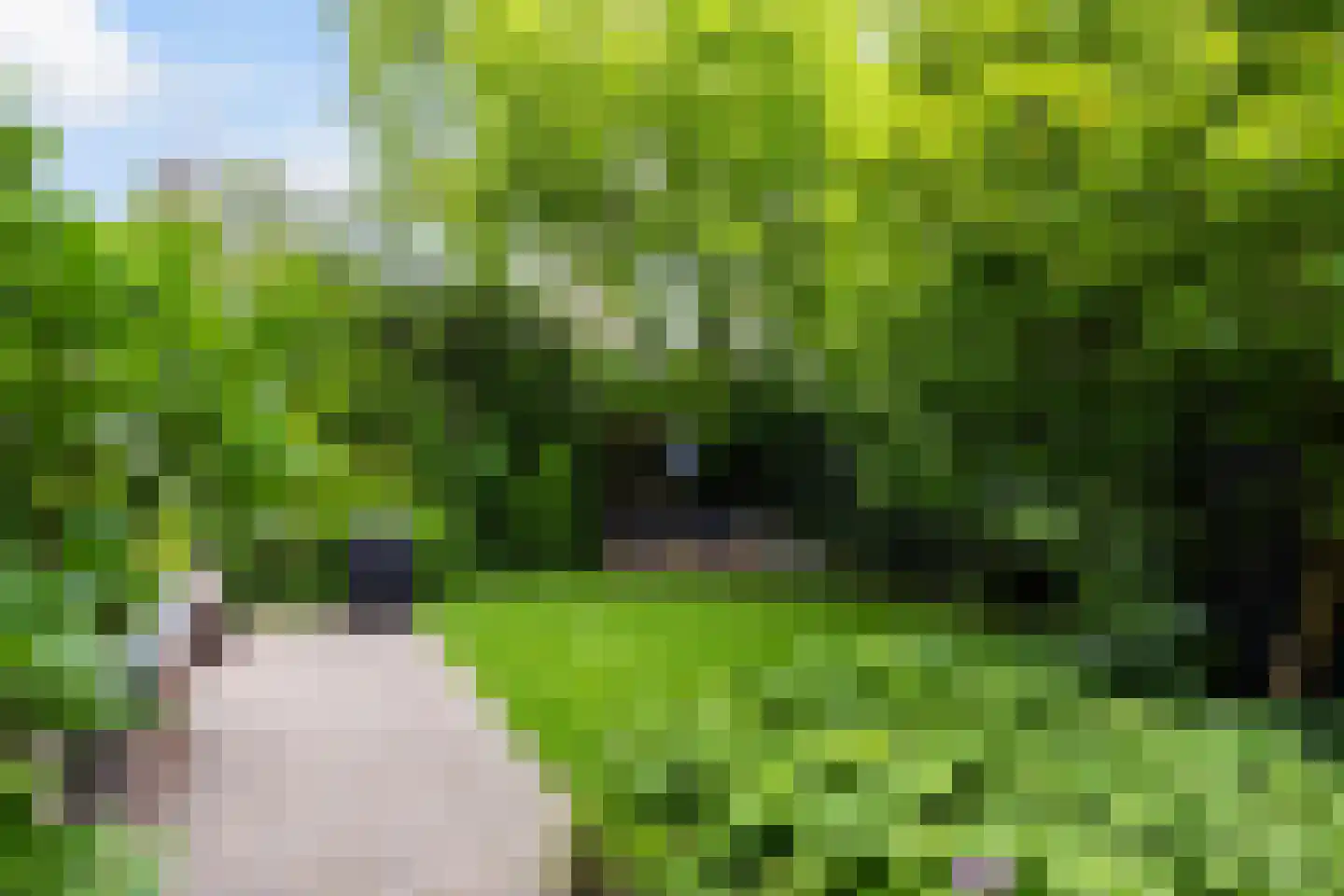 Bosweg 66 Apeldoorn thumbnail 30