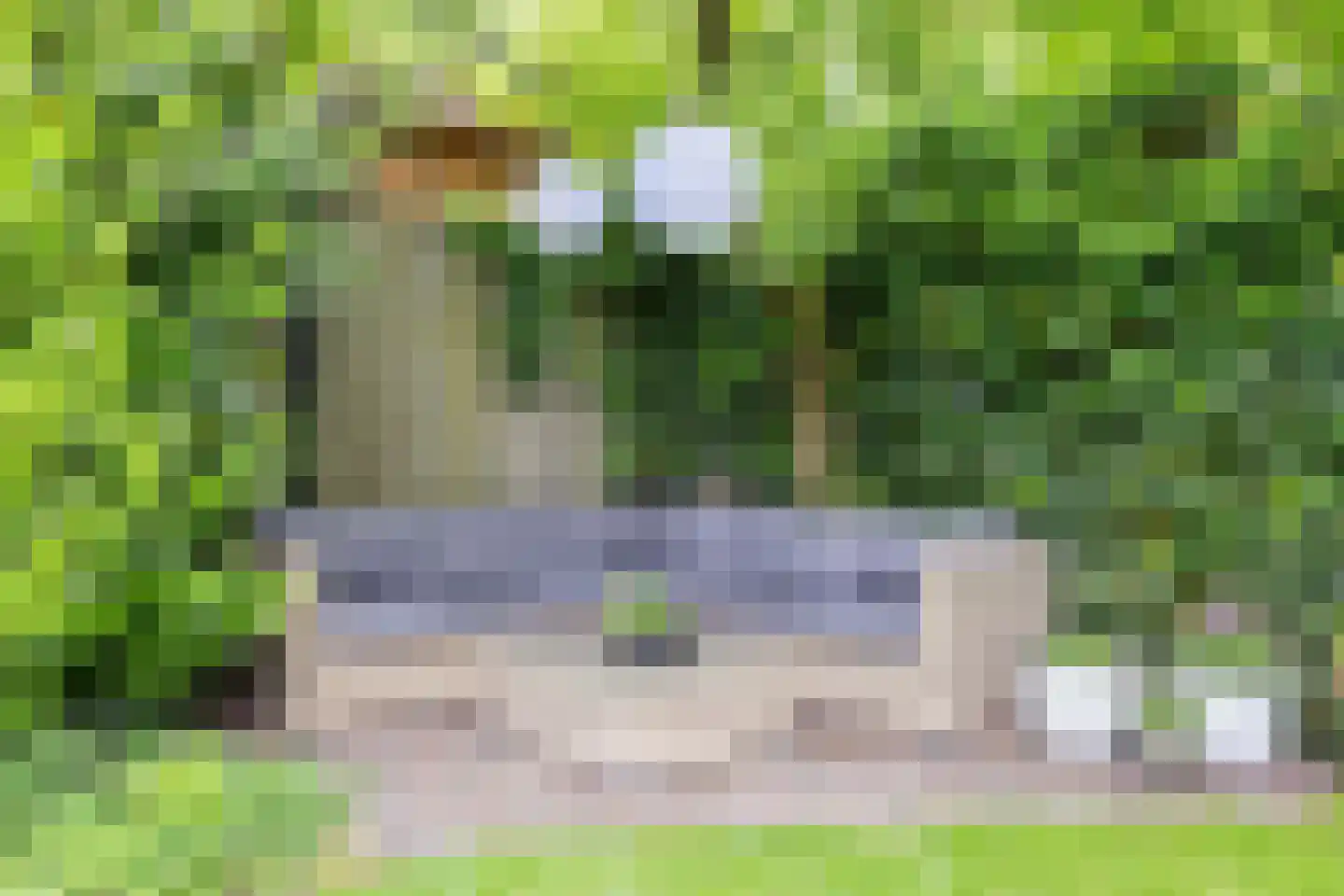 Bosweg 66 Apeldoorn thumbnail 31